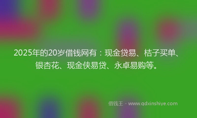2025年的20岁借钱网有：现金贷易、桔子买单、银杏花、现金侠易贷、永卓易购等。