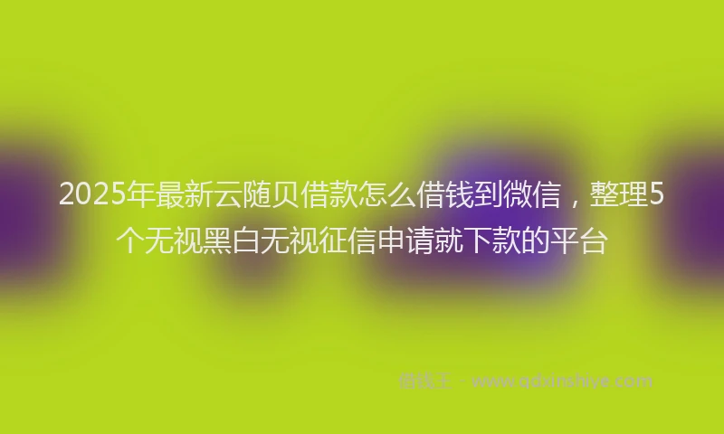2025年最新云随贝借款怎么借钱到微信，整理5个无视黑白无视征信申请就下款的平台