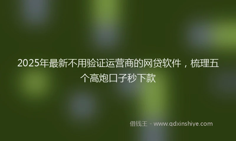 2025年最新不用验证运营商的网贷软件，梳理五个高炮口子秒下款