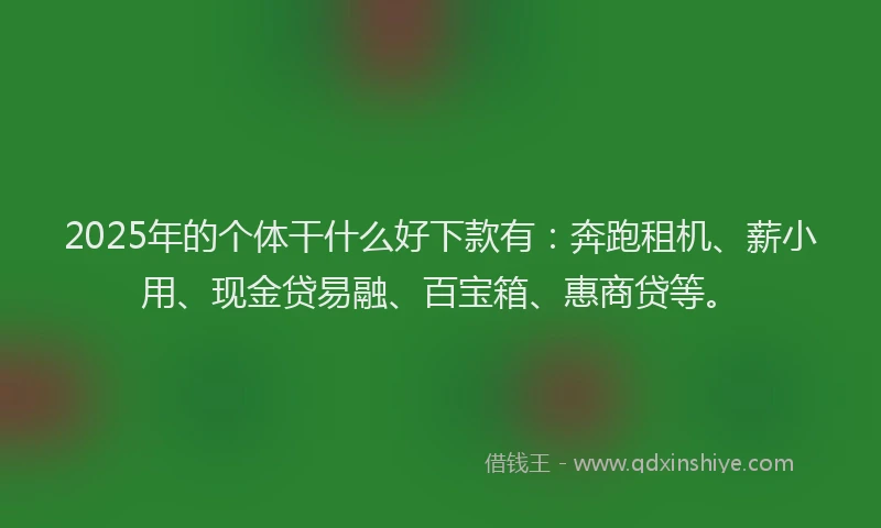 2025年的个体干什么好下款有：奔跑租机、薪小用、现金贷易融、百宝箱、惠商贷等。
