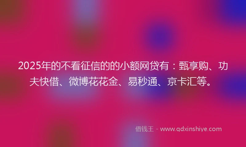 2025年的不看征信的的小额网贷有：甄享购、功夫快借、微博花花金、易秒通、京卡汇等。