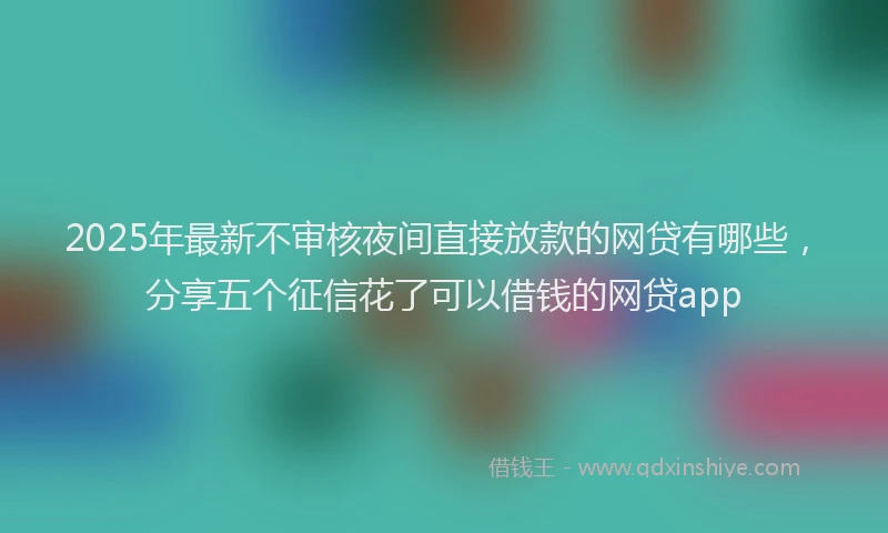 2025年最新不审核夜间直接放款的网贷有哪些，分享五个征信花了可以借钱的网贷app