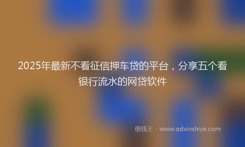 2025年最新不看征信押车贷的平台，分享五个看银行流水的网贷软件