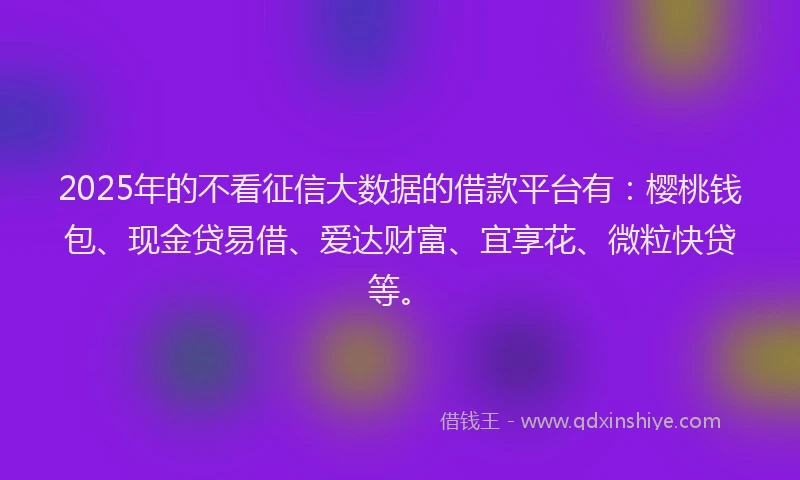 2025年的不看征信大数据的借款平台有：樱桃钱包、现金贷易借、爱达财富、宜享花、微粒快贷等。