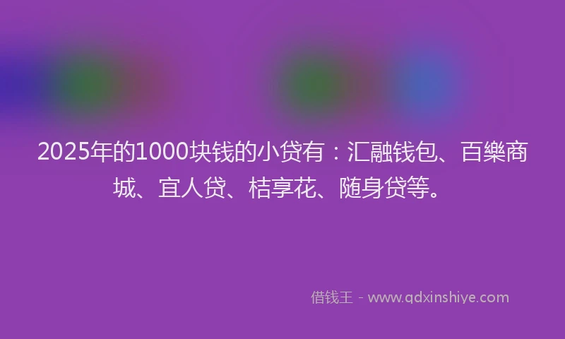 2025年的1000块钱的小贷有：汇融钱包、百樂商城、宜人贷、桔享花、随身贷等。