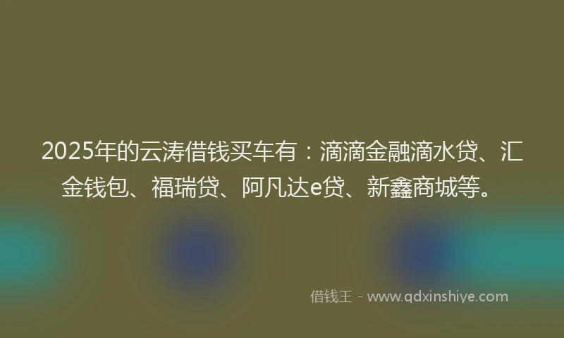 2025年的云涛借钱买车有：滴滴金融滴水贷、汇金钱包、福瑞贷、阿凡达e贷、新鑫商城等。