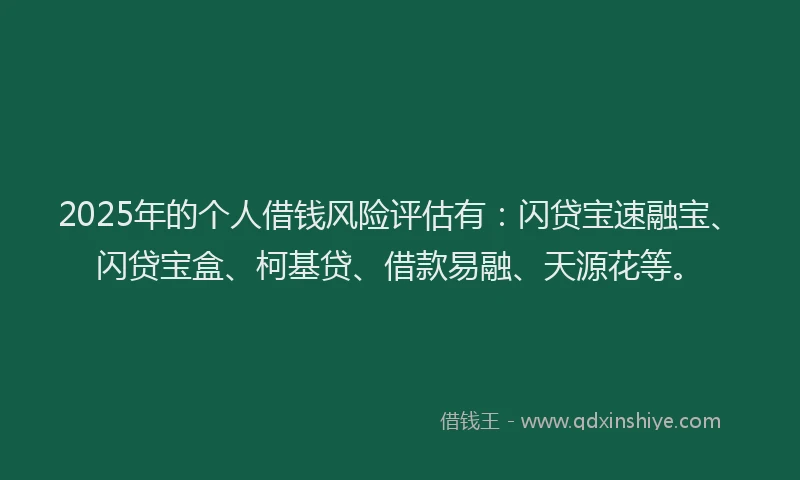 2025年的个人借钱风险评估有：闪贷宝速融宝、闪贷宝盒、柯基贷、借款易融、天源花等。