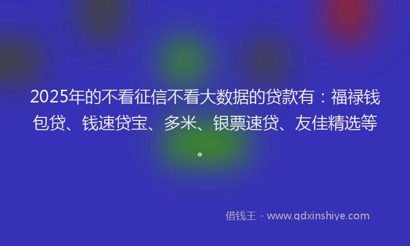 2025年的不看征信不看大数据的贷款有：福禄钱包贷、钱速贷宝、多米、银票速贷、友佳精选等。