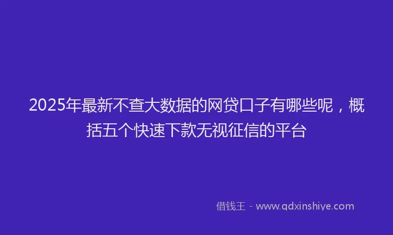 2025年最新不查大数据的网贷口子有哪些呢，概括五个快速下款无视征信的平台