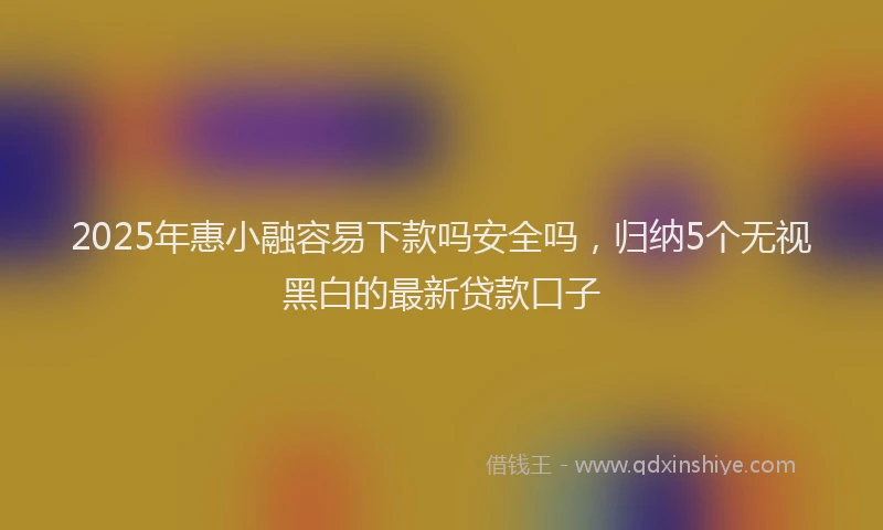 2025年惠小融容易下款吗安全吗，归纳5个无视黑白的最新贷款口子