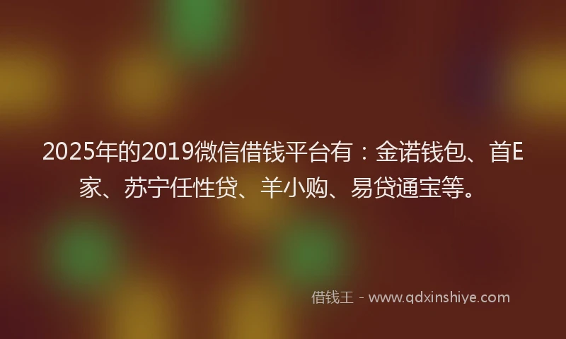 2025年的2019微信借钱平台有：金诺钱包、首E家、苏宁任性贷、羊小购、易贷通宝等。