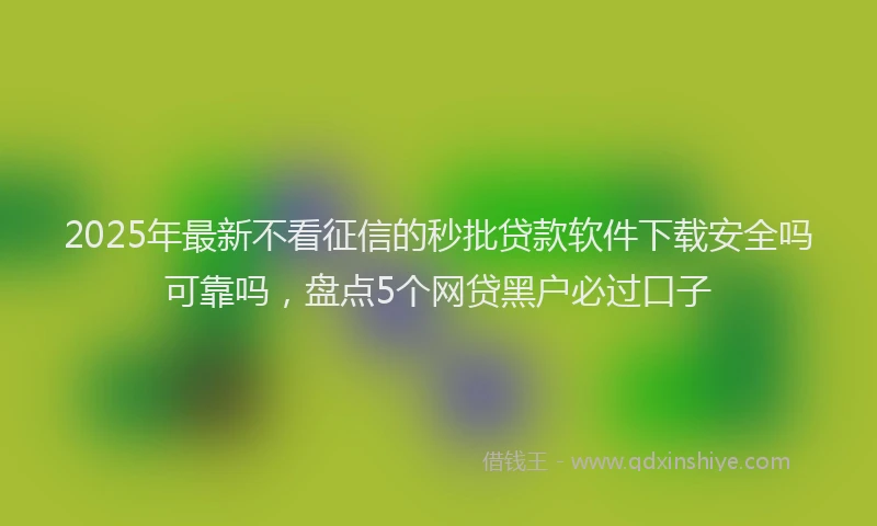 2025年最新不看征信的秒批贷款软件下载安全吗可靠吗，盘点5个网贷黑户必过口子