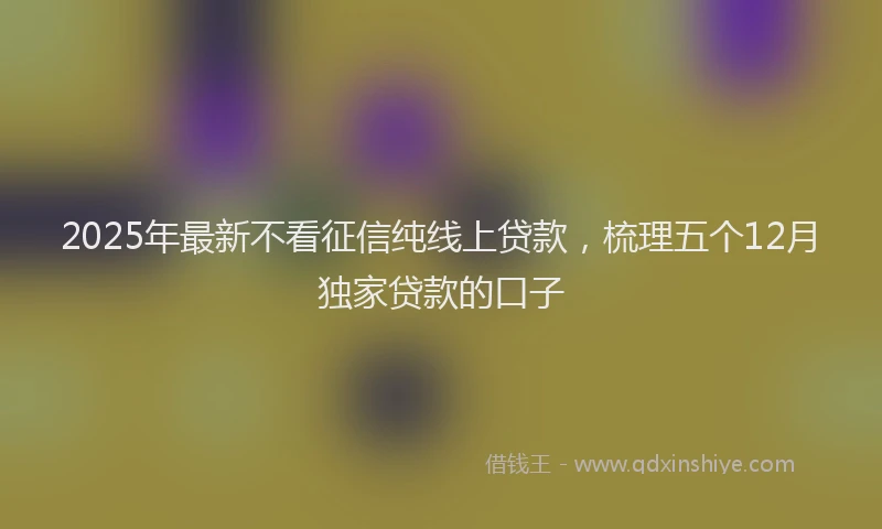 2025年最新不看征信纯线上贷款，梳理五个12月独家贷款的口子