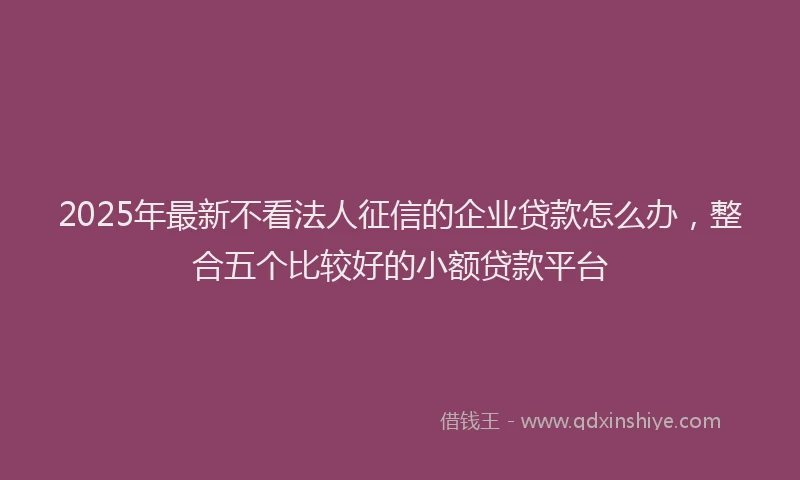 2025年最新不看法人征信的企业贷款怎么办，整合五个比较好的小额贷款平台