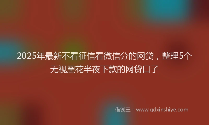 2025年最新不看征信看微信分的网贷，整理5个无视黑花半夜下款的网贷口子