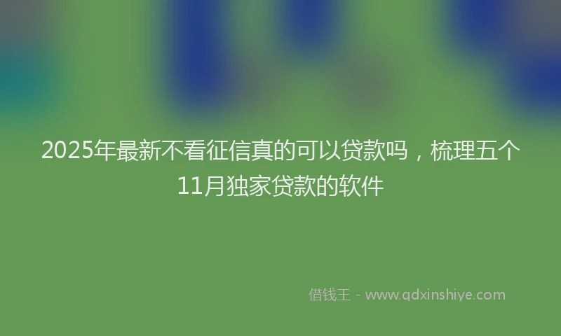 2025年最新不看征信真的可以贷款吗，梳理五个11月独家贷款的软件
