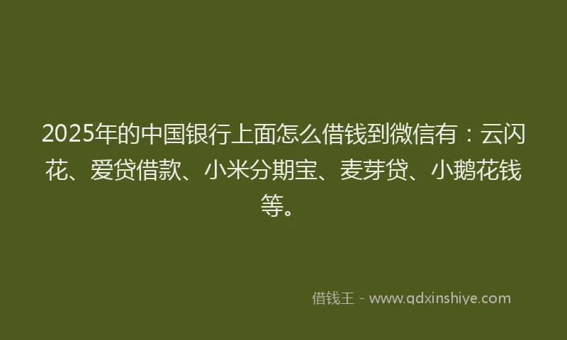 2025年的中国银行上面怎么借钱到微信有：云闪花、爱贷借款、小米分期宝、麦芽贷、小鹅花钱等。