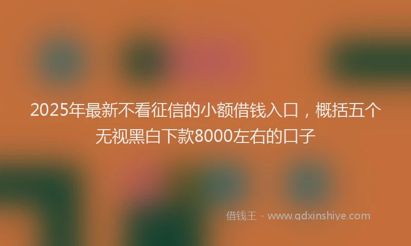 2025年最新不看征信的小额借钱入口，概括五个无视黑白下款8000左右的口子