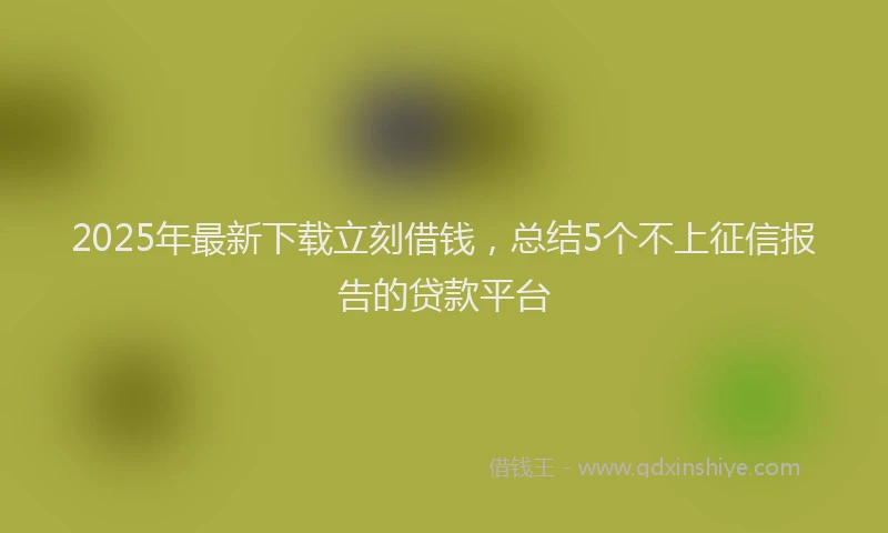 2025年最新下载立刻借钱，总结5个不上征信报告的贷款平台