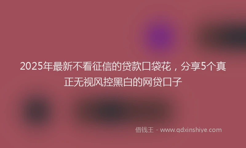 2025年最新不看征信的贷款口袋花，分享5个真正无视风控黑白的网贷口子