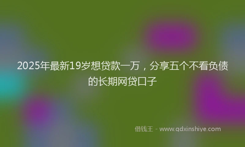 2025年最新19岁想贷款一万，分享五个不看负债的长期网贷口子