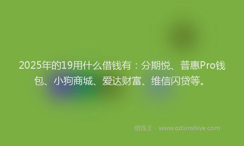 2025年的19用什么借钱有：分期悦、普惠Pro钱包、小狗商城、爱达财富、维信闪贷等。