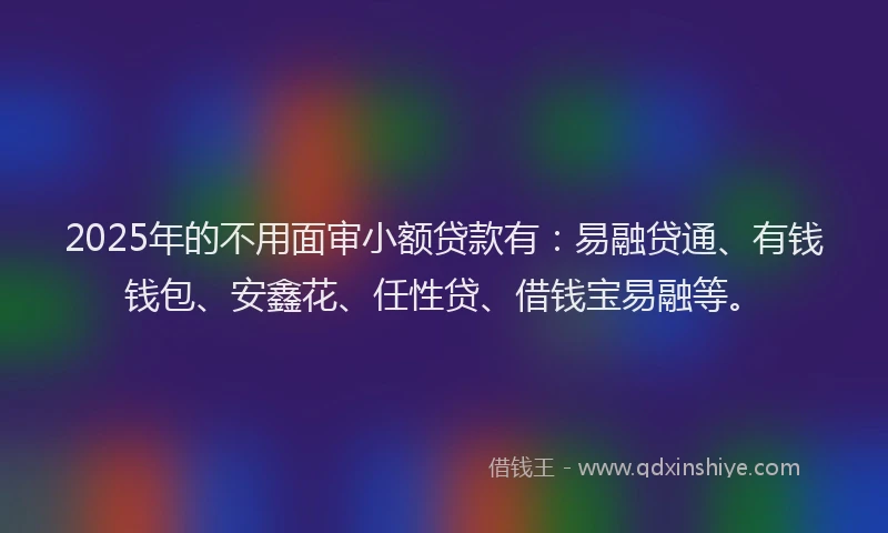 2025年的不用面审小额贷款有：易融贷通、有钱钱包、安鑫花、任性贷、借钱宝易融等。
