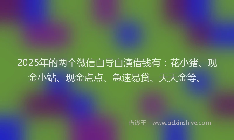 2025年的两个微信自导自演借钱有：花小猪、现金小站、现金点点、急速易贷、天天金等。