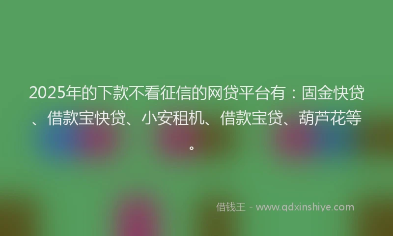 2025年的下款不看征信的网贷平台有：固金快贷、借款宝快贷、小安租机、借款宝贷、葫芦花等。