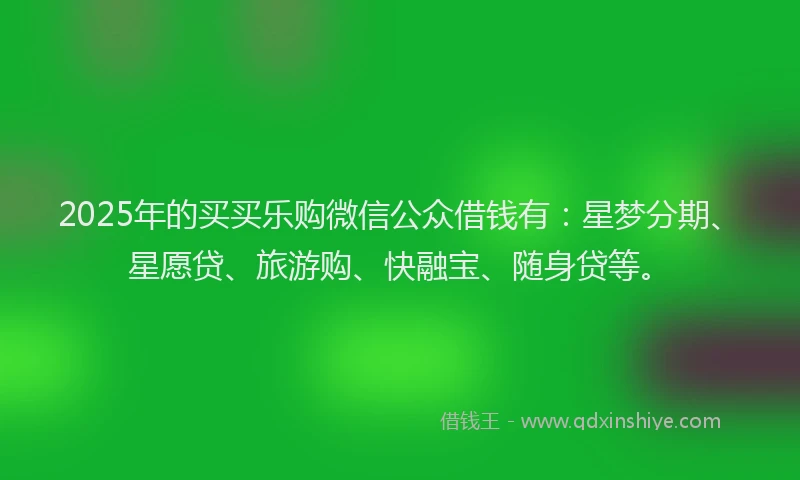 2025年的买买乐购微信公众借钱有：星梦分期、星愿贷、旅游购、快融宝、随身贷等。