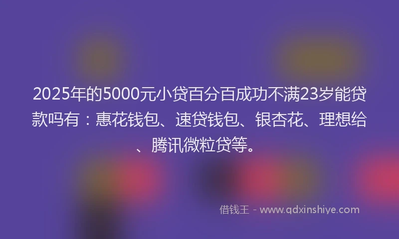 2025年的5000元小贷百分百成功不满23岁能贷款吗有：惠花钱包、速贷钱包、银杏花、理想给、腾讯微粒贷等。