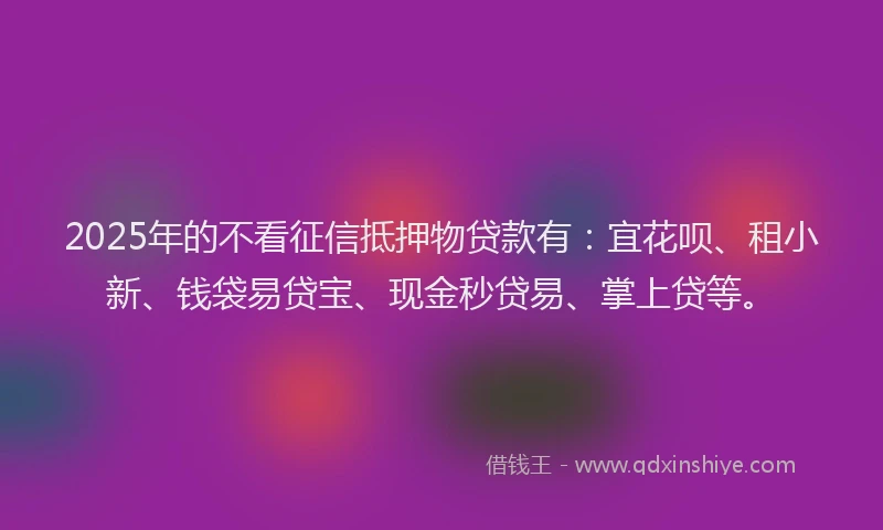 2025年的不看征信抵押物贷款有：宜花呗、租小新、钱袋易贷宝、现金秒贷易、掌上贷等。