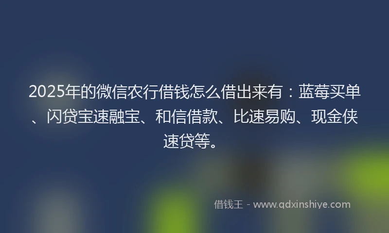2025年的微信农行借钱怎么借出来有：蓝莓买单、闪贷宝速融宝、和信借款、比速易购、现金侠速贷等。