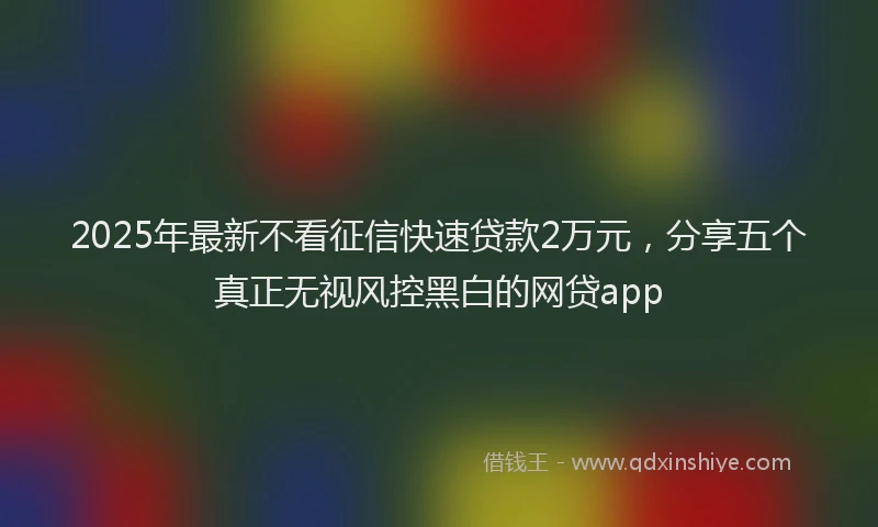 2025年最新不看征信快速贷款2万元，分享五个真正无视风控黑白的网贷app