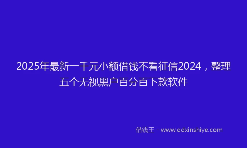 2025年最新一千元小额借钱不看征信2024，整理五个无视黑户百分百下款软件