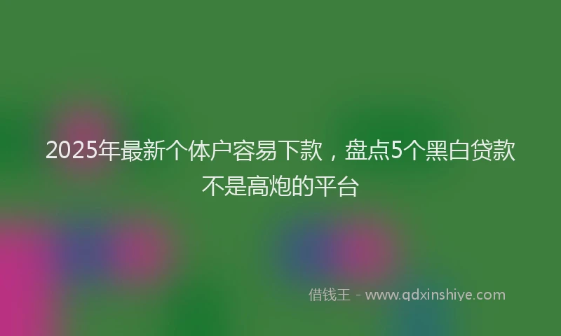 2025年最新个体户容易下款，盘点5个黑白贷款不是高炮的平台