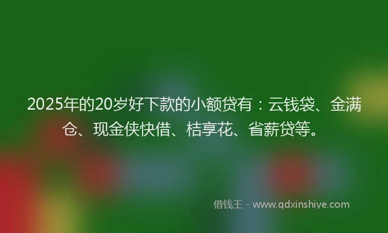 2025年的20岁好下款的小额贷有：云钱袋、金满仓、现金侠快借、桔享花、省薪贷等。