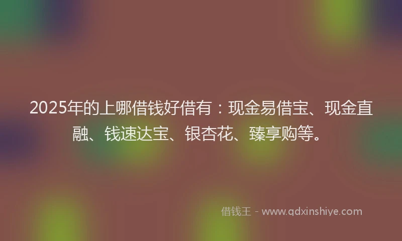 2025年的上哪借钱好借有：现金易借宝、现金直融、钱速达宝、银杏花、臻享购等。