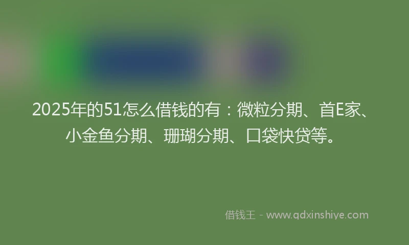 2025年的51怎么借钱的有：微粒分期、首E家、小金鱼分期、珊瑚分期、口袋快贷等。