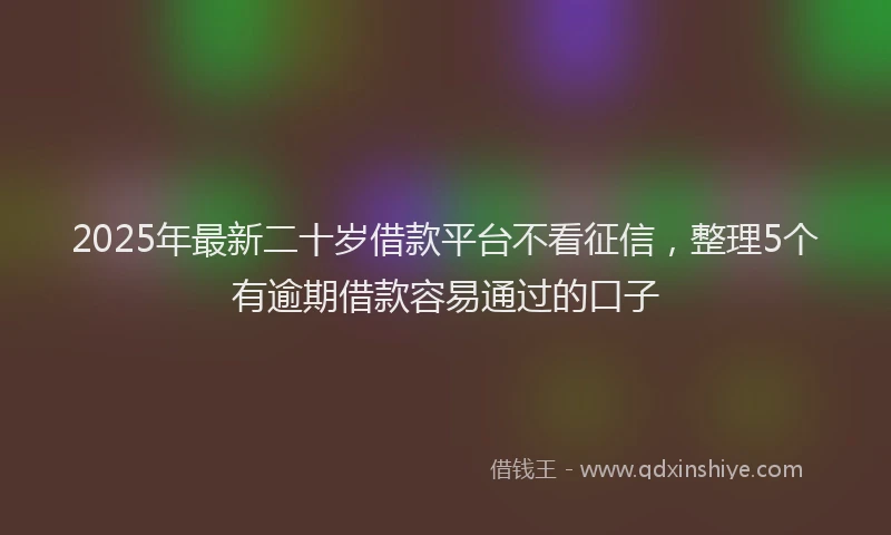 2025年最新二十岁借款平台不看征信，整理5个有逾期借款容易通过的口子