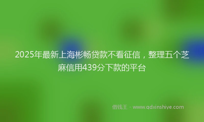 2025年最新上海彬畅贷款不看征信，整理五个芝麻信用439分下款的平台