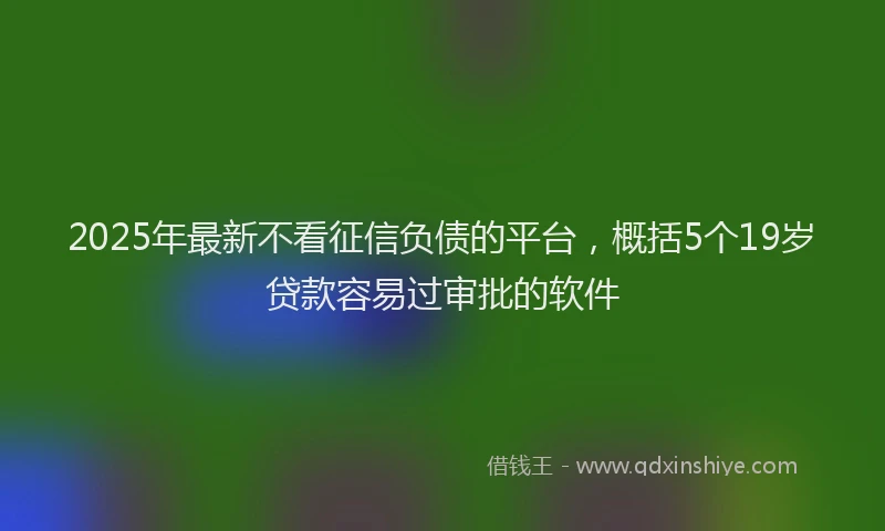 2025年最新不看征信负债的平台，概括5个19岁贷款容易过审批的软件