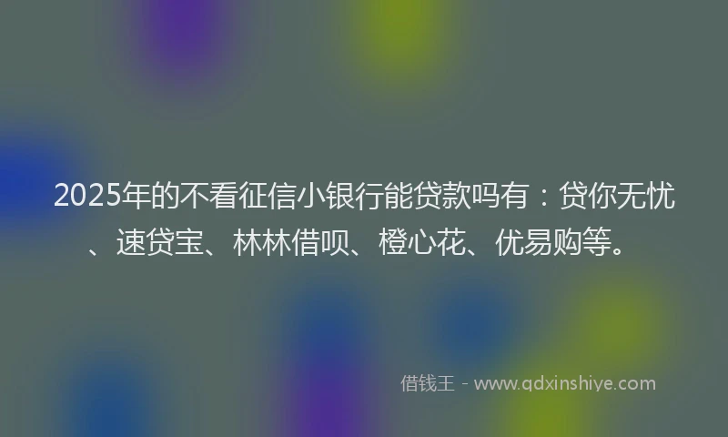 2025年的不看征信小银行能贷款吗有：贷你无忧、速贷宝、林林借呗、橙心花、优易购等。