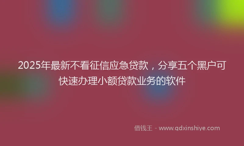 2025年最新不看征信应急贷款，分享五个黑户可快速办理小额贷款业务的软件