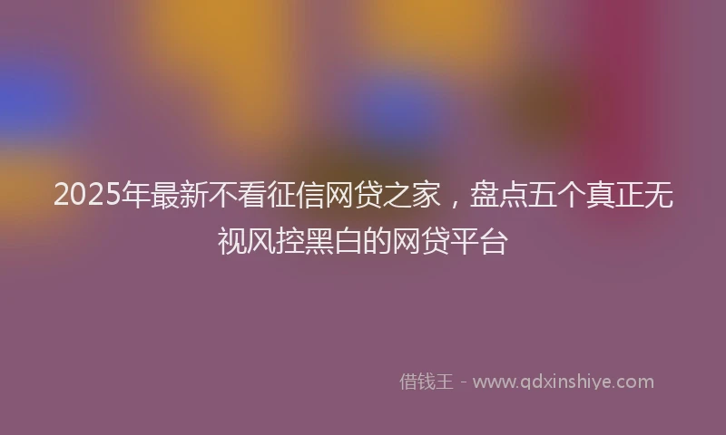 2025年最新不看征信网贷之家，盘点五个真正无视风控黑白的网贷平台