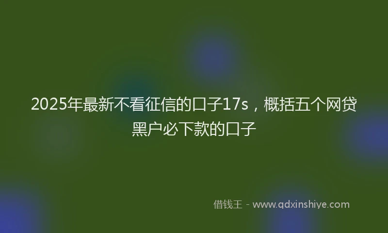 2025年最新不看征信的口子17s，概括五个网贷黑户必下款的口子