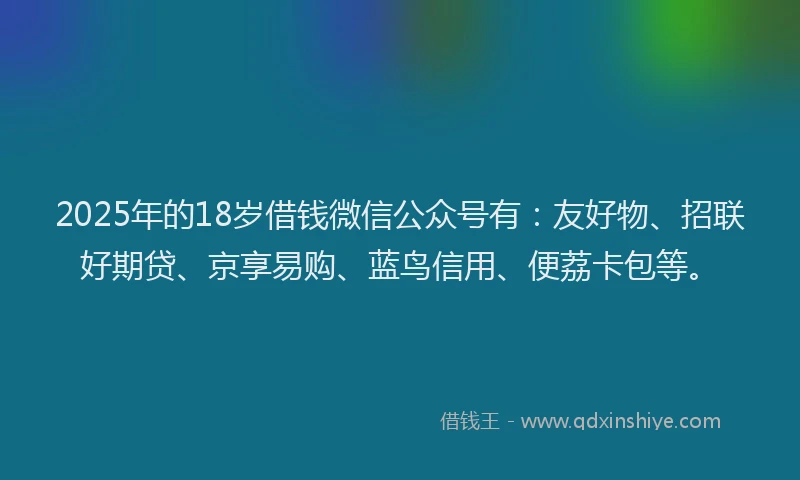 2025年的18岁借钱微信公众号有：友好物、招联好期贷、京享易购、蓝鸟信用、便荔卡包等。