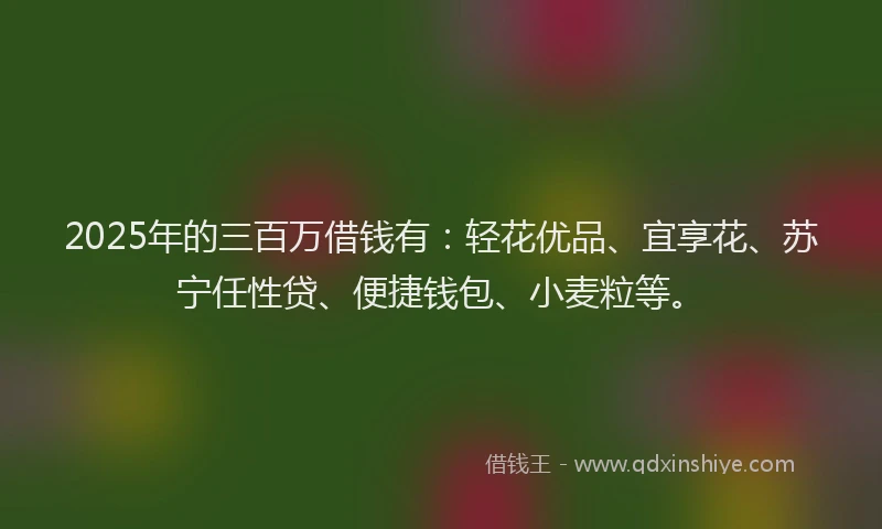 2025年的三百万借钱有：轻花优品、宜享花、苏宁任性贷、便捷钱包、小麦粒等。