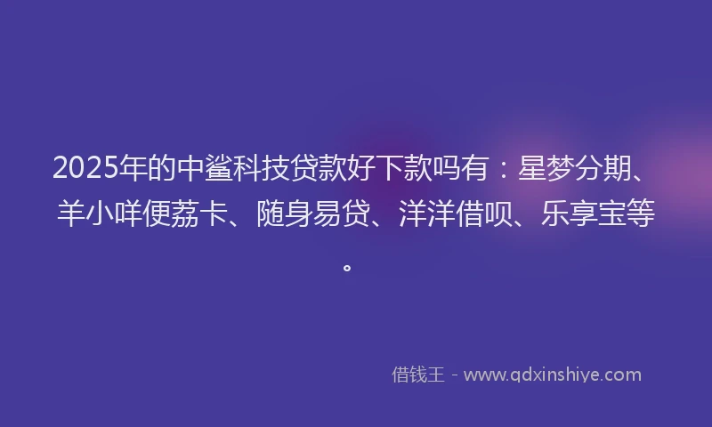 2025年的中鲨科技贷款好下款吗有：星梦分期、羊小咩便荔卡、随身易贷、洋洋借呗、乐享宝等。