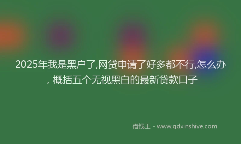 2025年我是黑户了,网贷申请了好多都不行,怎么办，概括五个无视黑白的最新贷款口子